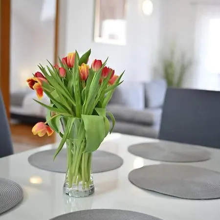 Apartment L & Z Visnjik