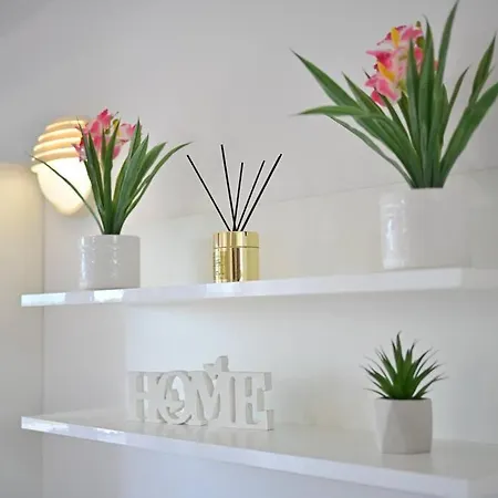 L & Z Visnjik * Zara