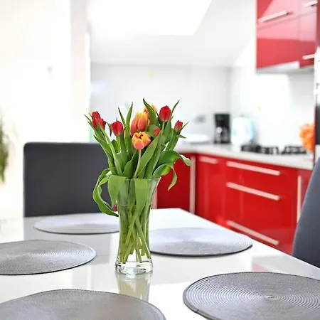 Apartment L & Z Visnjik *