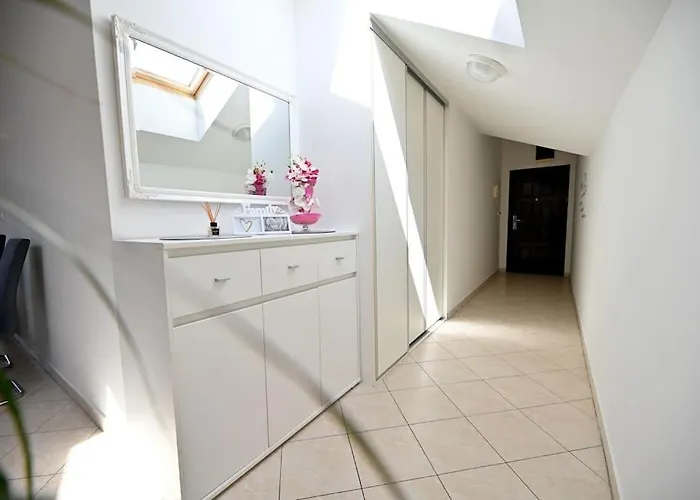 L & Z Visnjik * זאדאר