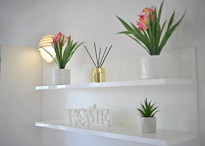 L & Z Visnjik * זאדאר