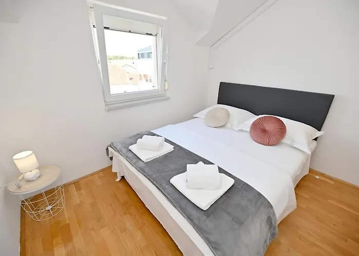 L & Z Visnjik * זאדאר